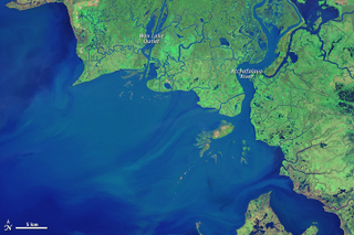 Illustration for article titled Strange New Land Is Growing Along Louisiana's Disappearing CoastlineĀ